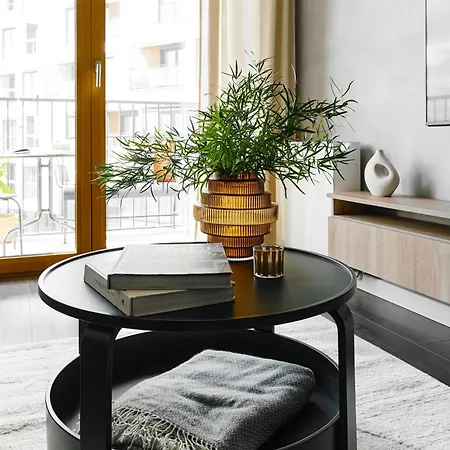 Cracow Palm * Cracovie