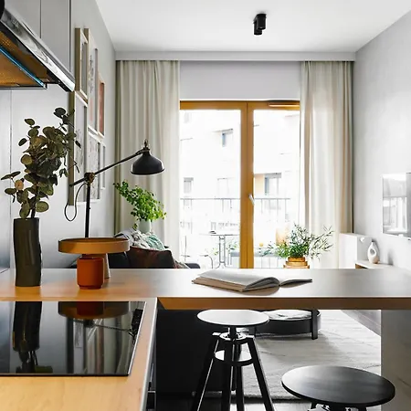 Cracow Palm * クラクフ