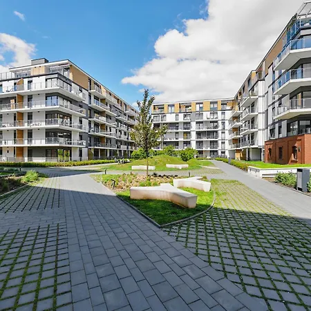 Cracow Palm * クラクフ