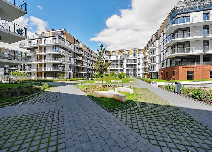 Cracow Palm * Краков